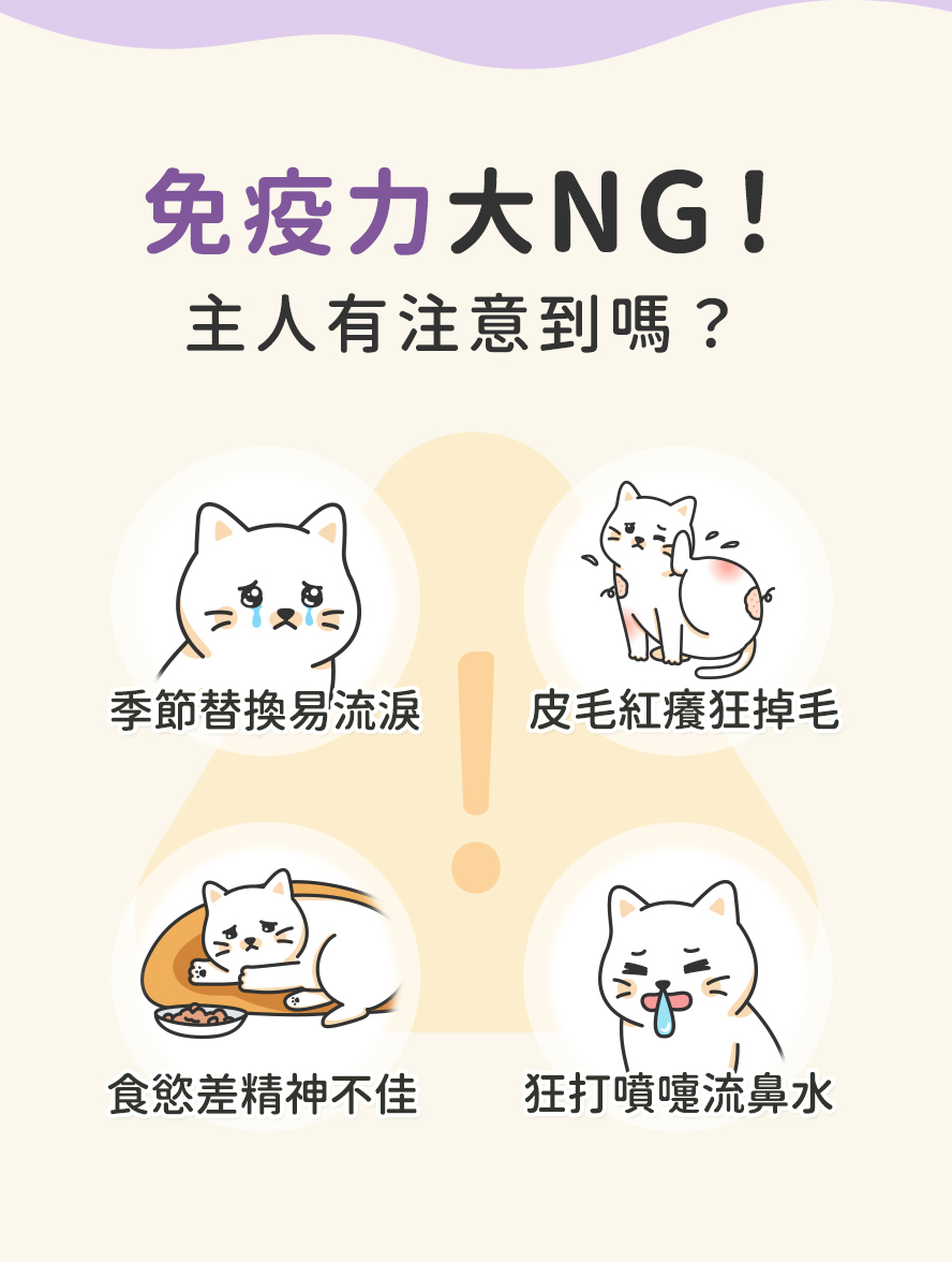 貓咪免疫力大NG表現！